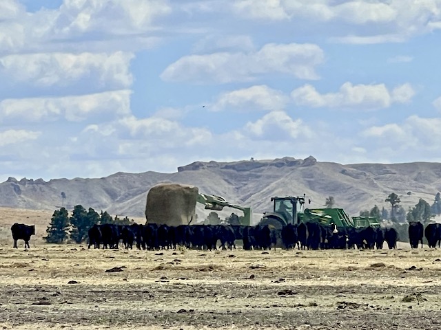 John Deer pulling the hay spreader for cattle